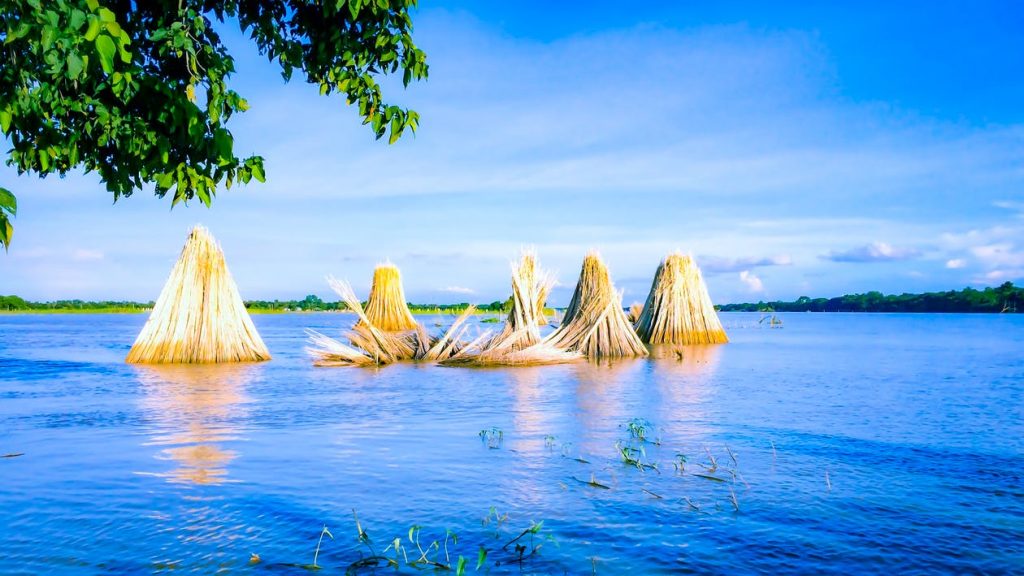 Vận chuyển hàng hóa đi Bangladesh chuyên nghiệp