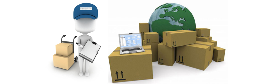 Dịch vụ vận chuyển hàng từ Ai Cập