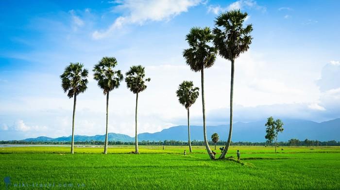 chuyen-phat-nhanh-hang-hoa-tu-an-giang-di-trung-quoc-gia-re