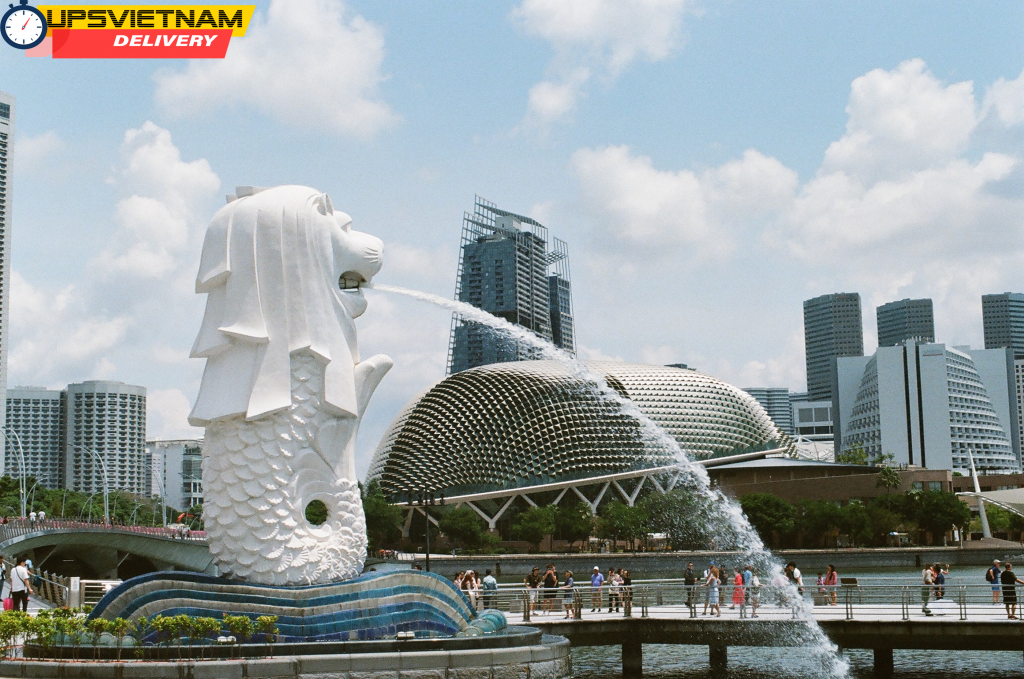 Dịch vụ vận chuyển hoa quả từ Việt Nam đi Singapore uy tín, tiếc kiệm, nhanh chóng