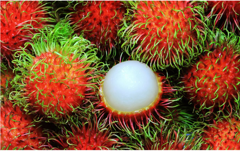 Gửi chôm chôm Bến Tre
