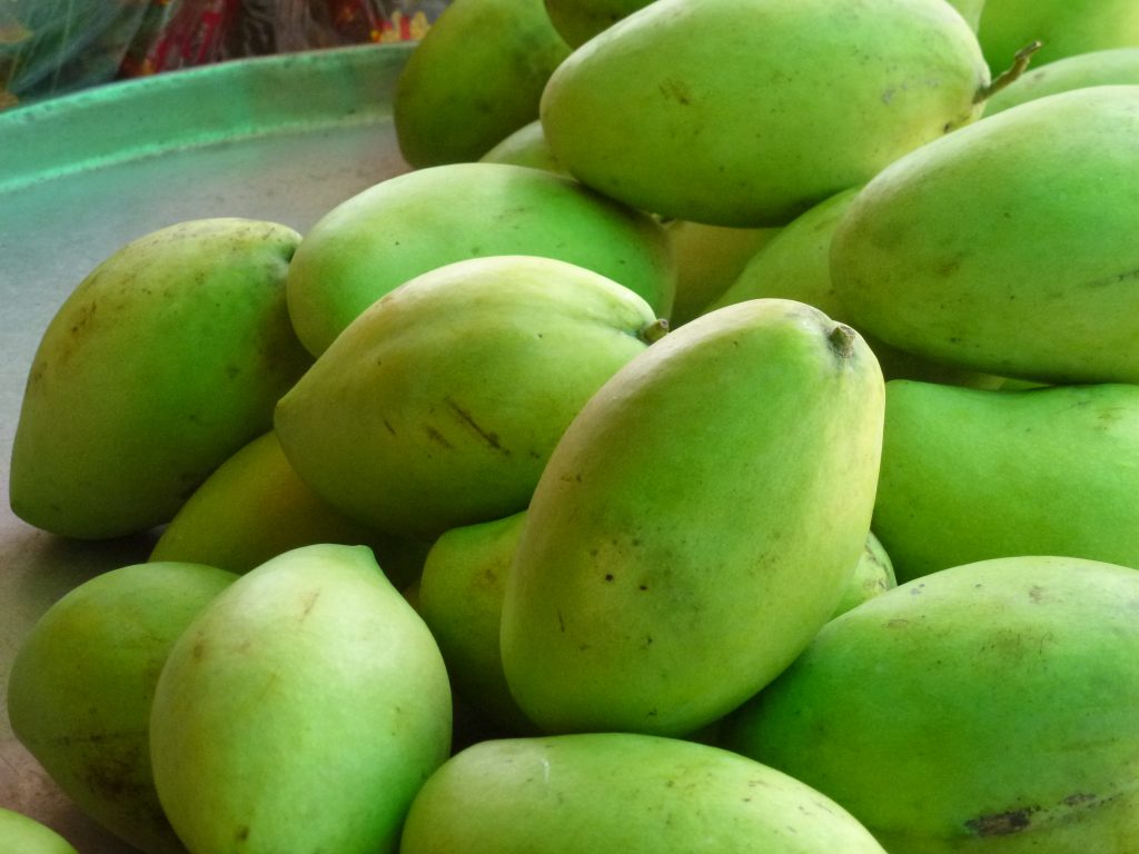 Xoài cát Hoà Lộc 